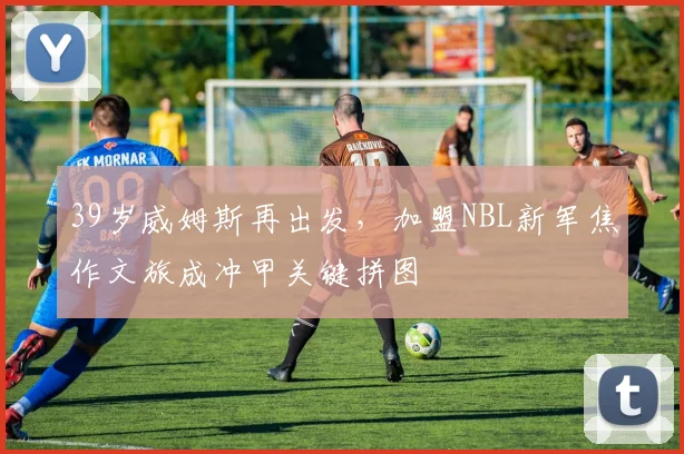 39岁威姆斯再出发，加盟NBL新军焦作文旅成冲甲关键拼图